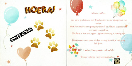 Zo lief ♥♥♥